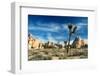 Joshua Trees Among the Large Granite Rocks of Joshua Tree National Park-John Alves-Framed Premium Photographic Print