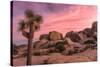 Joshua trees and rocks on a landscape, Joshua Tree National Park, California, USA-null-Stretched Canvas