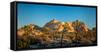 Joshua trees and rocks on a landscape, Joshua Tree National Park, California, USA-null-Framed Stretched Canvas