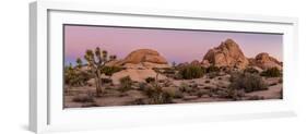 Joshua trees and rocks on a landscape, Joshua Tree National Park, California, USA-null-Framed Photographic Print