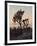 Joshua Trees at Sunset, Joshua Tree National Park, California-James Hager-Framed Photographic Print