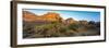 Joshua Trees in a Desert, Red Rock Canyon, Las Vegas, Nevada, USA-null-Framed Photographic Print