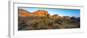 Joshua Trees in a Desert, Red Rock Canyon, Las Vegas, Nevada, USA-null-Framed Photographic Print