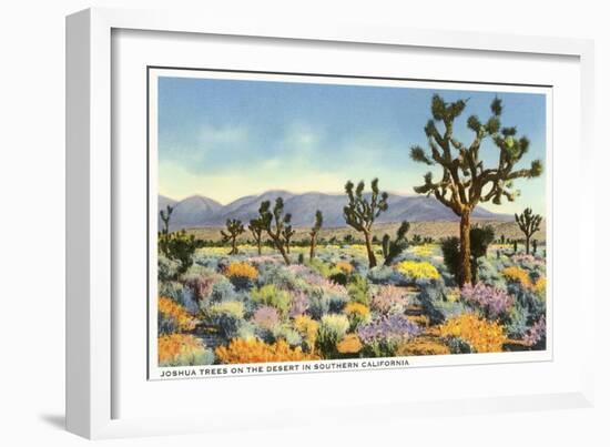 Joshua Trees in Desert, California-null-Framed Art Print