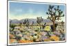 Joshua Trees in Desert, California-null-Mounted Art Print