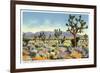 Joshua Trees in Desert, California-null-Framed Art Print