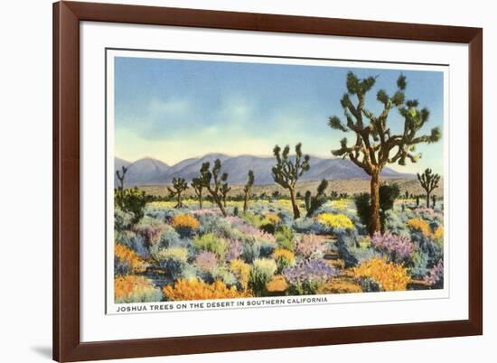 Joshua Trees in Desert, California-null-Framed Art Print