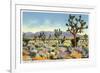 Joshua Trees in Desert, California-null-Framed Premium Giclee Print