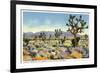 Joshua Trees in Desert, California-null-Framed Premium Giclee Print