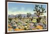 Joshua Trees in Desert, California-null-Framed Art Print