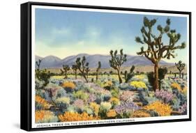 Joshua Trees in Desert, California-null-Framed Stretched Canvas