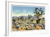 Joshua Trees in Desert, California-null-Framed Art Print