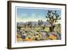 Joshua Trees in Desert, California-null-Framed Art Print