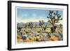 Joshua Trees in Desert, California-null-Framed Art Print