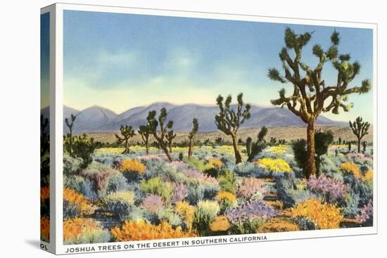 Joshua Trees in Desert, California-null-Stretched Canvas