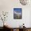 Joshua Trees Near Death Valley, Joshua Tree National Park, California, USA-Roy Rainford-Framed Stretched Canvas displayed on a wall