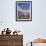 Joshua Trees Near Death Valley, Joshua Tree National Park, California, USA-Roy Rainford-Framed Photographic Print displayed on a wall