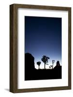 Joshua Trees Silhouetted Against the Night Sky at Dusk in Joshua Tree National Park, California-Ben Herndon-Framed Photographic Print