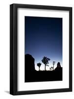 Joshua Trees Silhouetted Against the Night Sky at Dusk in Joshua Tree National Park, California-Ben Herndon-Framed Photographic Print