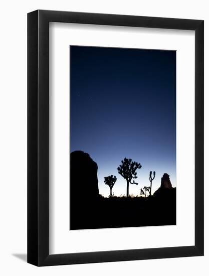 Joshua Trees Silhouetted Against the Night Sky at Dusk in Joshua Tree National Park, California-Ben Herndon-Framed Photographic Print