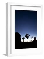 Joshua Trees Silhouetted Against the Night Sky at Dusk in Joshua Tree National Park, California-Ben Herndon-Framed Photographic Print