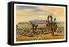 Joshua Trees-null-Framed Stretched Canvas