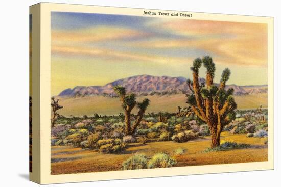 Joshua Trees-null-Stretched Canvas