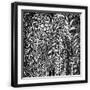 Black Frame