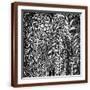 Brown Frame