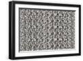 Black Frame