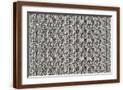 Brown Frame