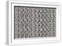 White Frame