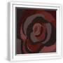 White Frame