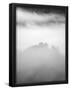 Essential Black