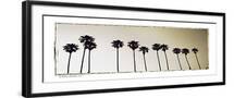 Black Frame