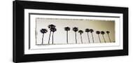 Brown Frame