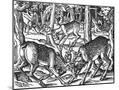 Wood Mount