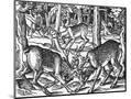 Wood Mount