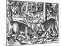 Wood Mount