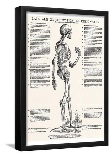 Poster, , large
