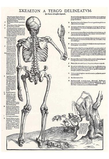 Poster, , large