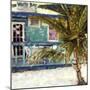 Jost Van Dyke-null-Mounted Photographic Print