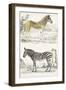 Journal of Natural History I-Georges Cuvier-Framed Art Print