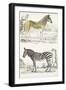 Journal of Natural History I-Georges Cuvier-Framed Art Print