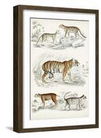 Journal of Natural History II-Georges Cuvier-Framed Art Print