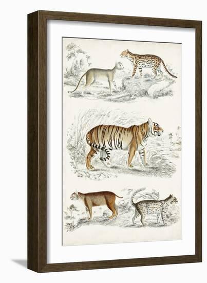 Journal of Natural History II-Georges Cuvier-Framed Art Print