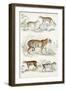 Journal of Natural History II-Georges Cuvier-Framed Art Print
