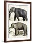Journal of Natural History IV-Georges Cuvier-Framed Art Print