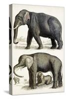 Journal of Natural History IV-Georges Cuvier-Stretched Canvas