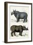 Journal of Natural History IX-Georges Cuvier-Framed Art Print